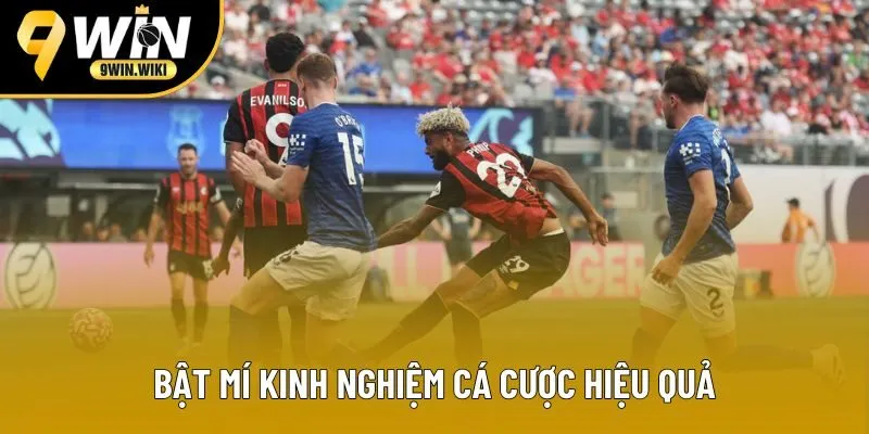 Bật mí kinh nghiệm cá cược hiệu quả